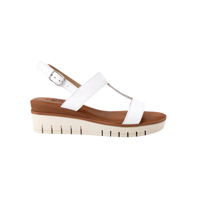 Sapore Di Mare 16499 Bianco