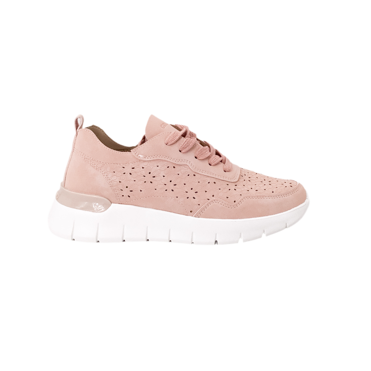 Grunland Sc 0195 Sace  Cipria