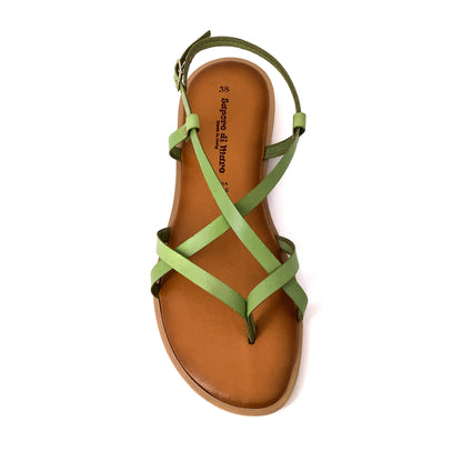 Sapori Di Mare 10452 Verde
