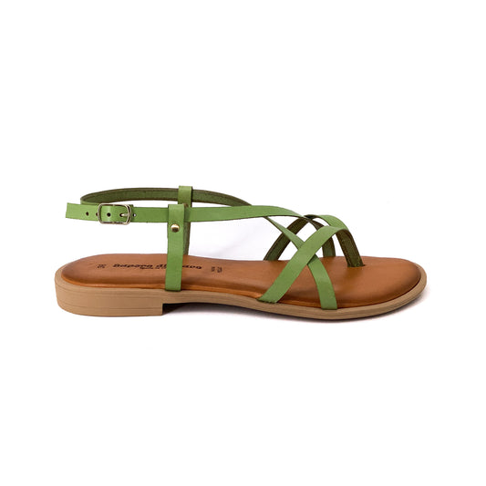 Sapori Di Mare 10452 Verde